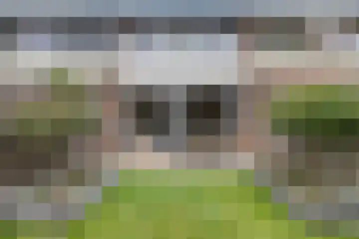 Korhoenderveld 61 Cuijk thumbnail 30