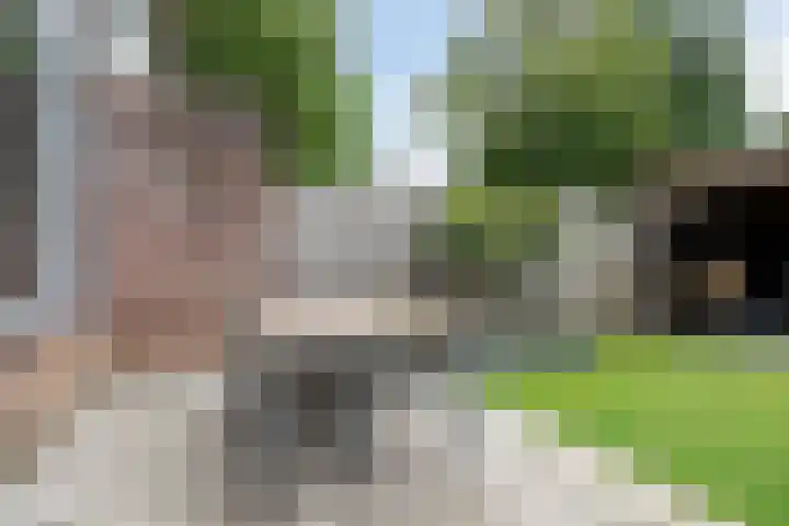 Korhoenderveld 61 Cuijk thumbnail 31