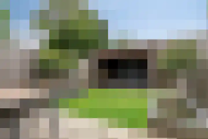Korhoenderveld 61 Cuijk thumbnail 32