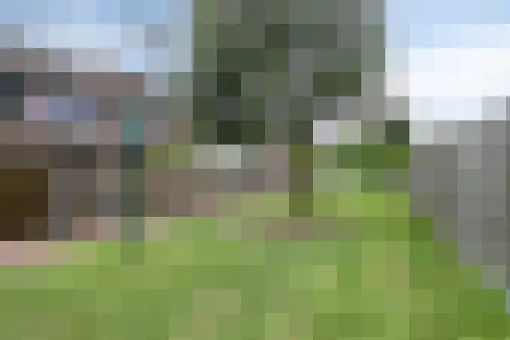 Korhoenderveld 61 Cuijk thumbnail 34