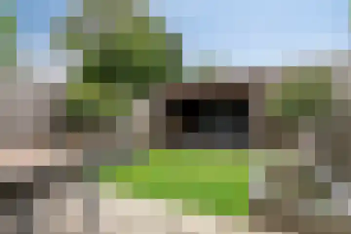 Korhoenderveld 61 Cuijk thumbnail 4