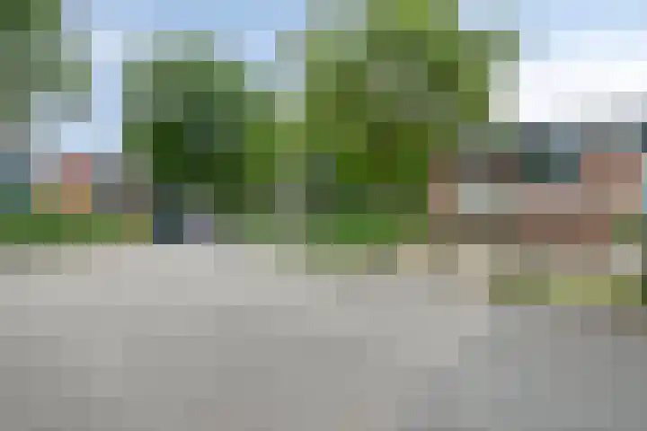 Korhoenderveld 61 Cuijk thumbnail 6