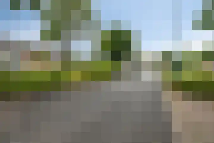 Korhoenderveld 61 Cuijk thumbnail 7