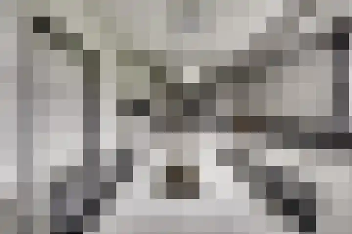 Koriander 13 Dronten thumbnail 11