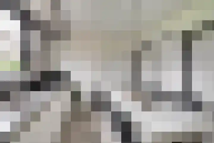 Koriander 13 Dronten thumbnail 12