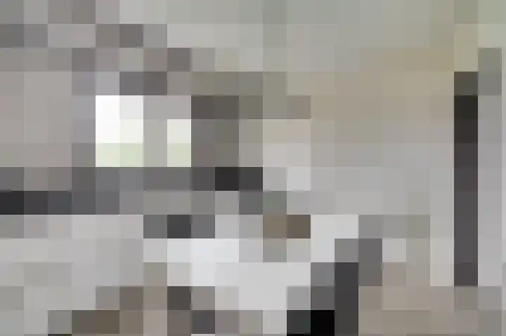 Koriander 13 Dronten thumbnail 13