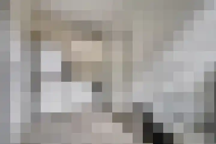 Koriander 13 Dronten thumbnail 15