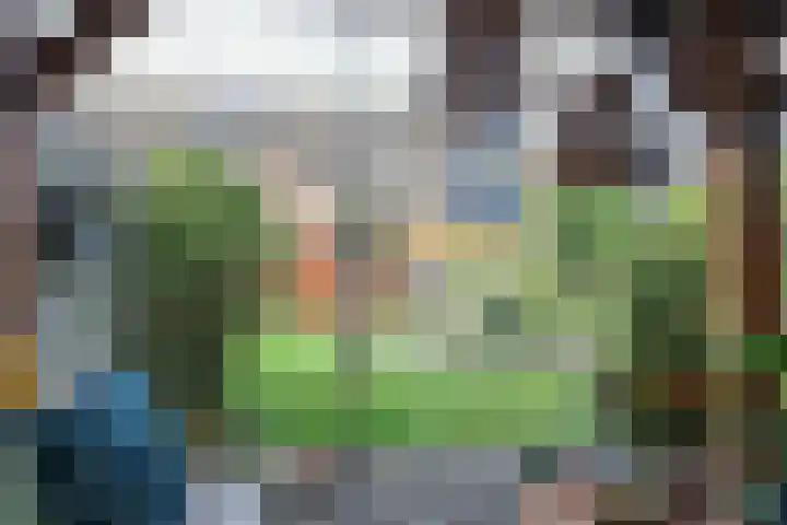 Koriander 13 Dronten thumbnail 16