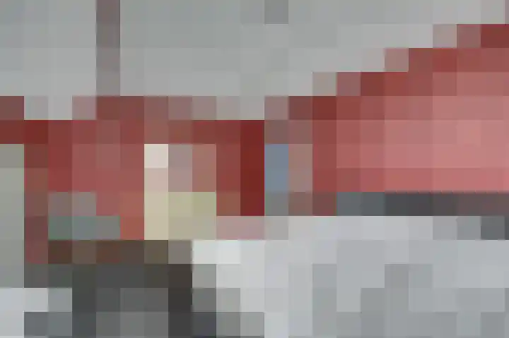 Koriander 13 Dronten thumbnail 20