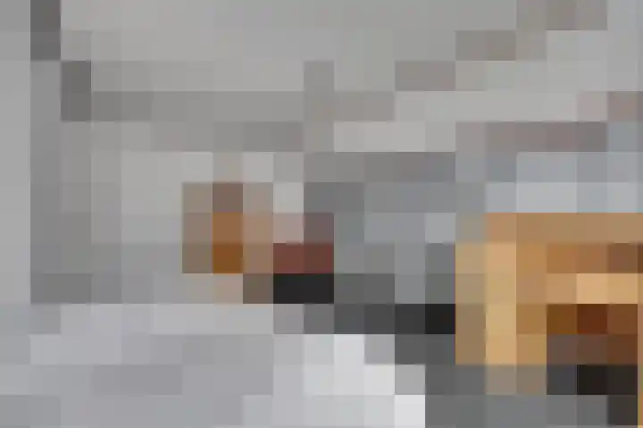 Koriander 13 Dronten thumbnail 22