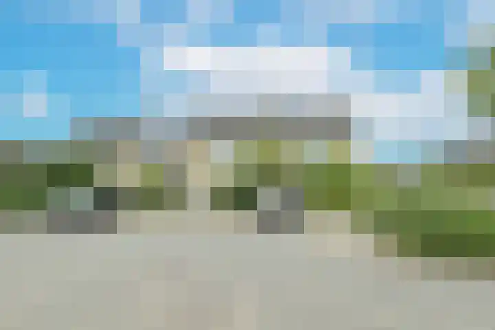 Koriander 13 Dronten thumbnail 23