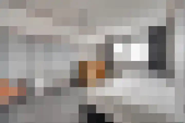 Koriander 13 Dronten thumbnail 23