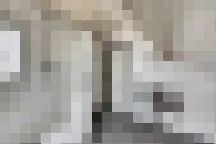 Koriander 13 Dronten thumbnail 24