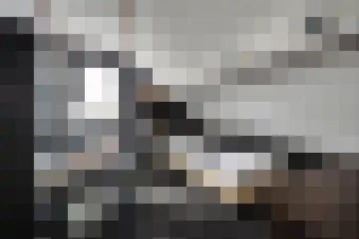 Koriander 13 Dronten thumbnail 26