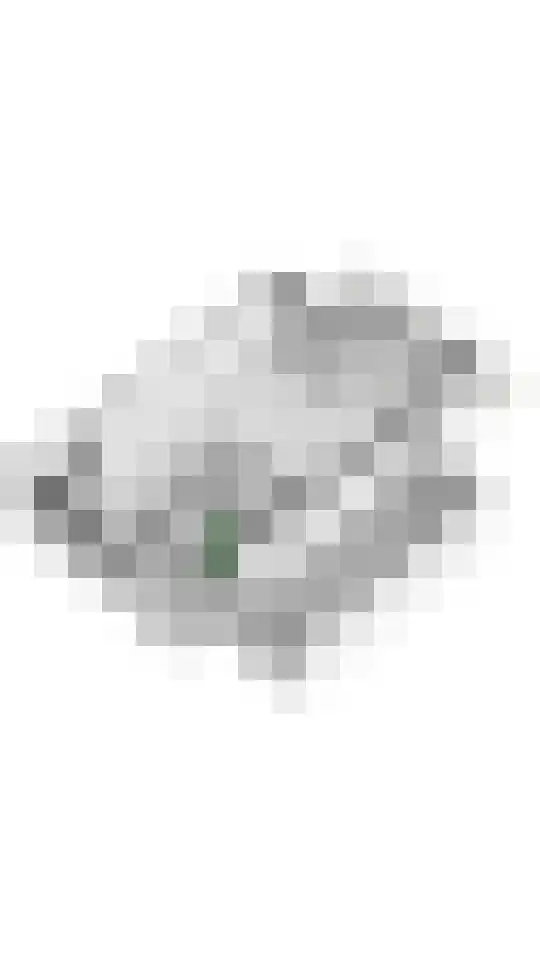 Koriander 13 Dronten thumbnail 30