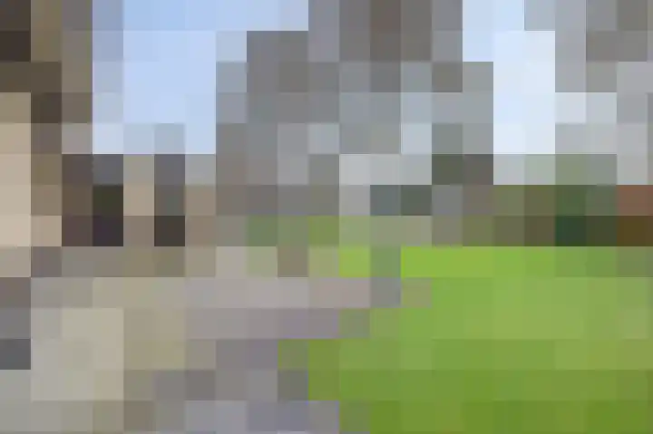 Koriander 13 Dronten thumbnail 31