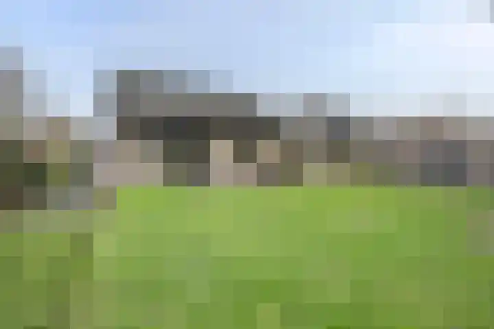 Koriander 13 Dronten thumbnail 32