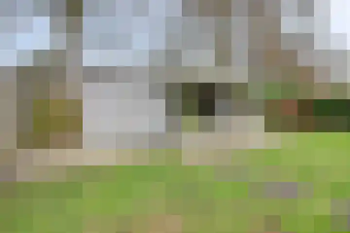 Koriander 13 Dronten thumbnail 33