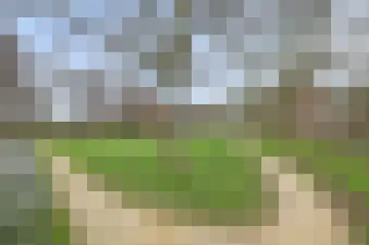 Koriander 13 Dronten thumbnail 37