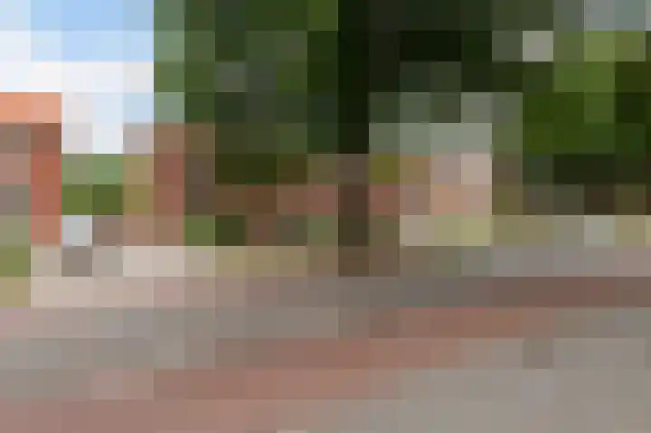 Koriander 13 Dronten thumbnail 39