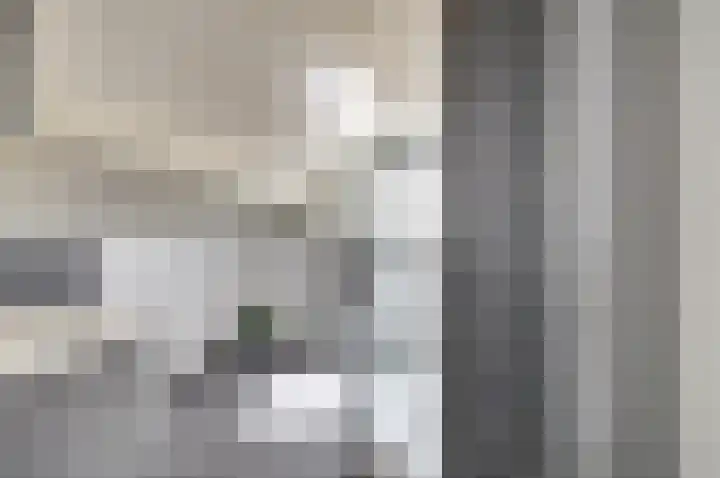 Koriander 13 Dronten thumbnail 4