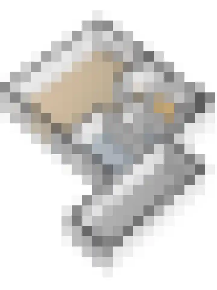 Koriander 13 Dronten thumbnail 41