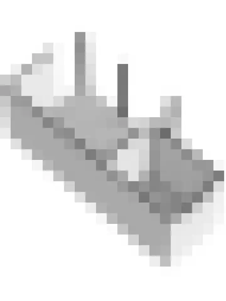 Koriander 13 Dronten thumbnail 43