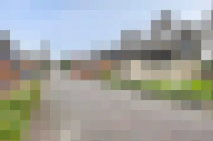 Koriander 13 Dronten thumbnail 5
