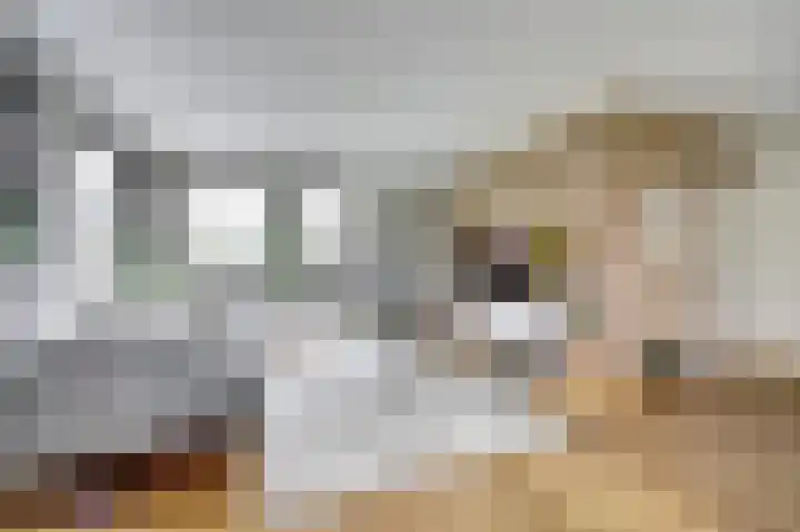 Koriander 13 Dronten thumbnail 6