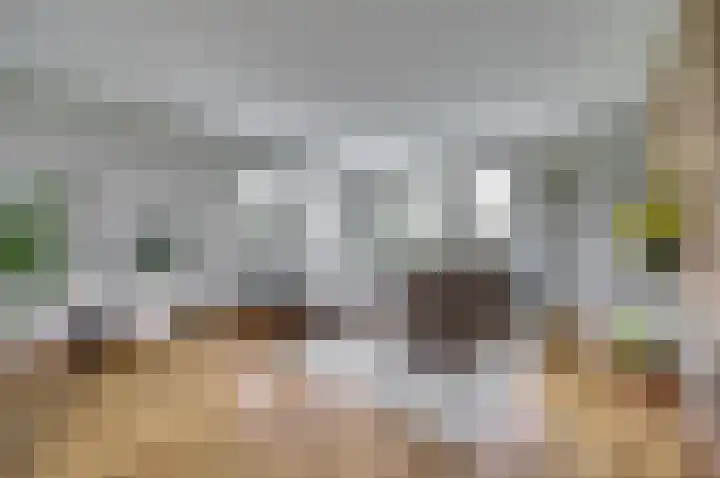Koriander 13 Dronten thumbnail 7