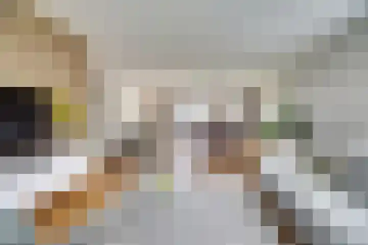 Koriander 13 Dronten thumbnail 8