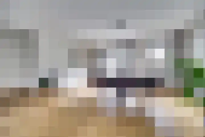 Koriander 13 Dronten thumbnail 9