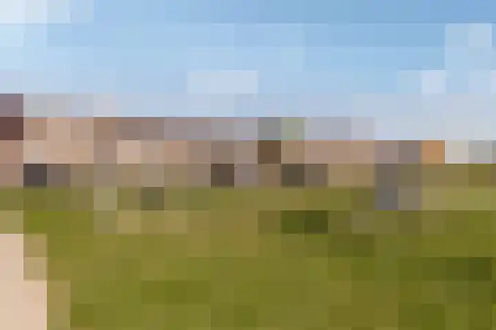 Koriander 74 Lelystad thumbnail 31