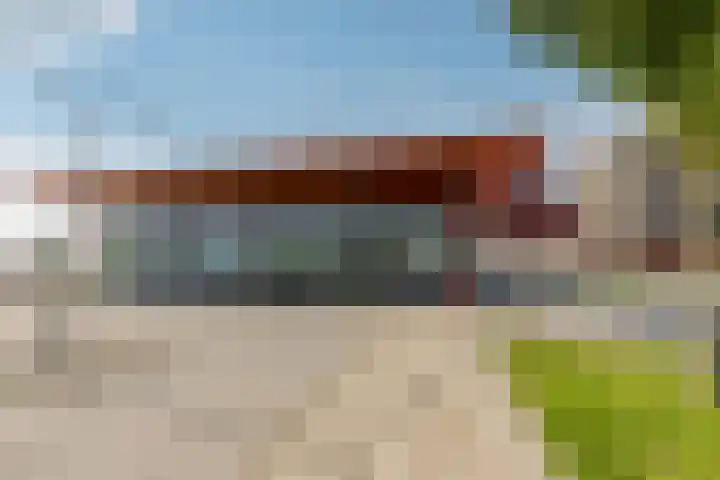 Koriander 74 Lelystad thumbnail 33