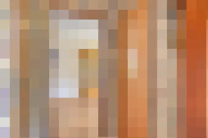 Koriander 9 Dronten thumbnail 12