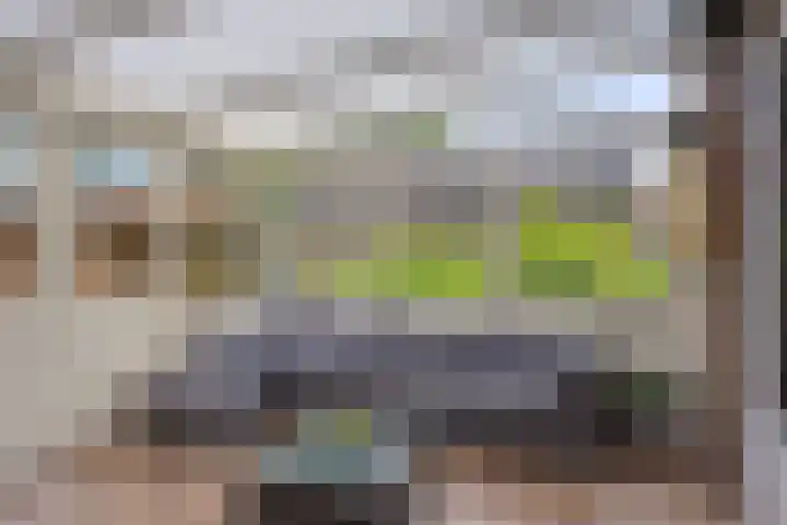 Koriander 9 Dronten thumbnail 30