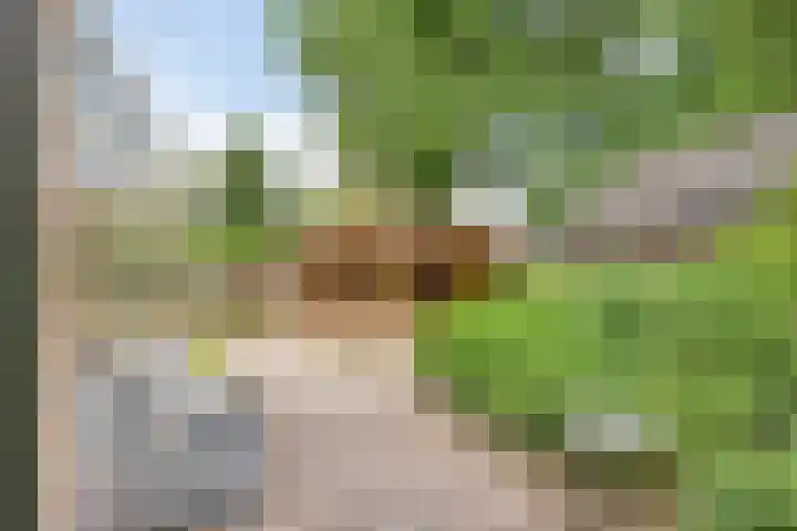 Koriander 9 Dronten thumbnail 44