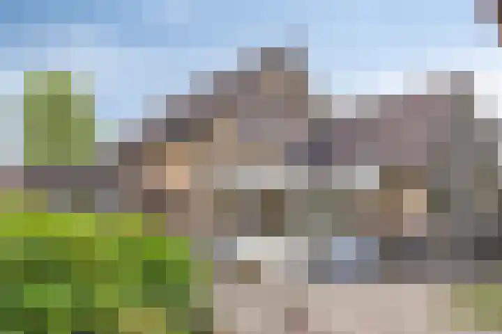 Koriander 9 Dronten thumbnail 46