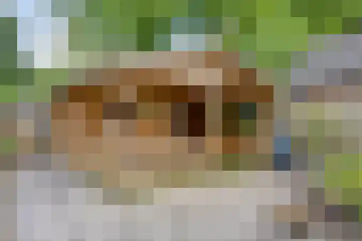 Koriander 9 Dronten thumbnail 49