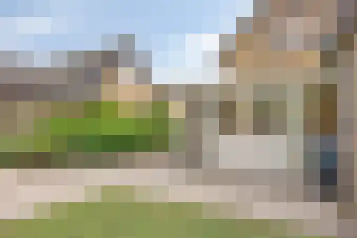 Koriander 9 Dronten thumbnail 56