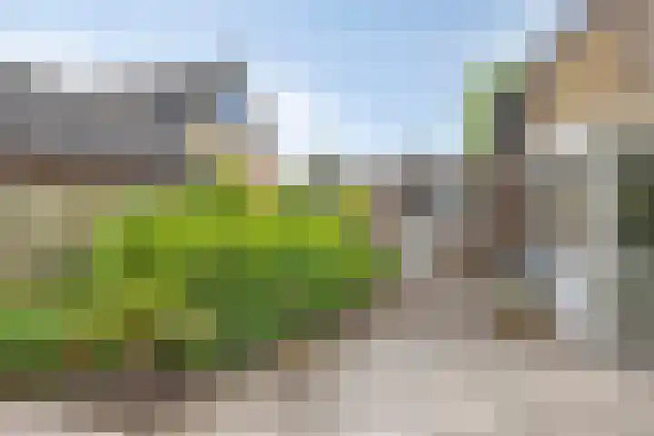 Koriander 9 Dronten thumbnail 58