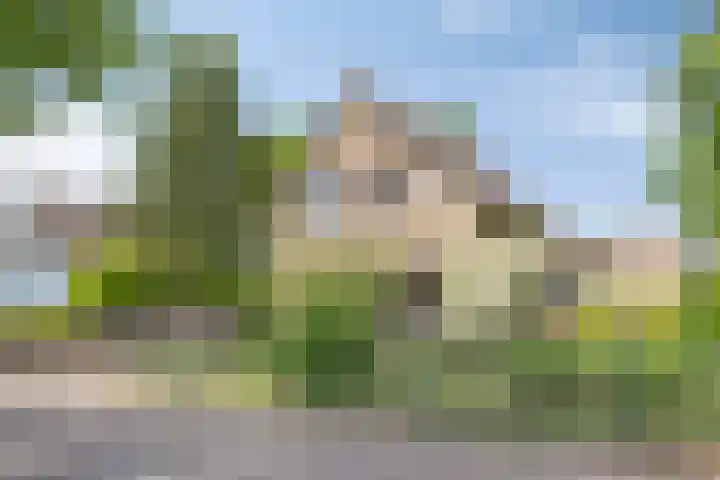 Koriander 9 Dronten thumbnail 68