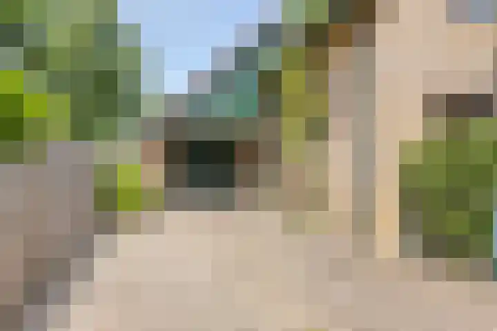 Koriander 9 Dronten thumbnail 8