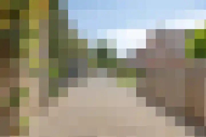 Koriander 9 Dronten thumbnail 9