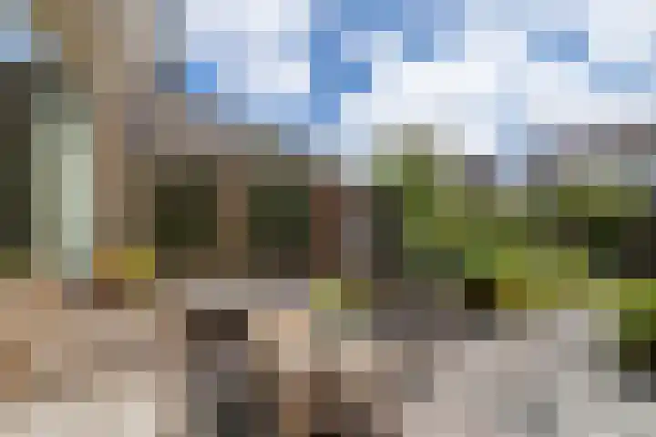 Korianderhof 211 Wierden thumbnail 24