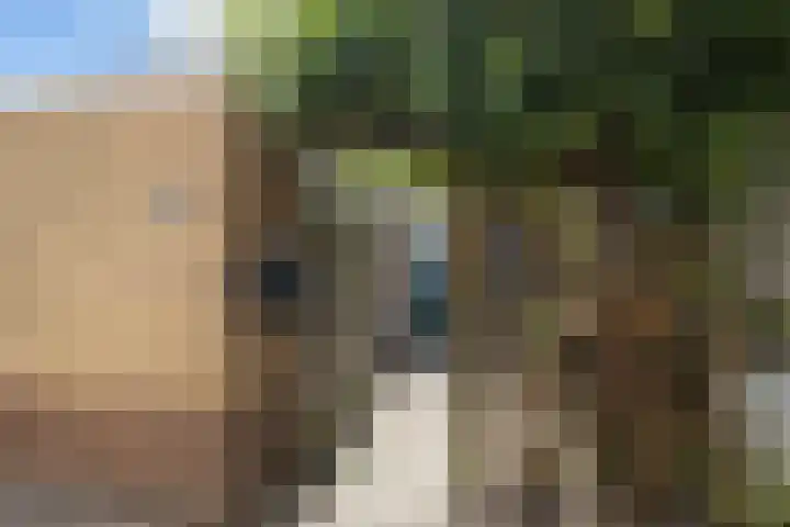 Korianderhof 211 Wierden thumbnail 25