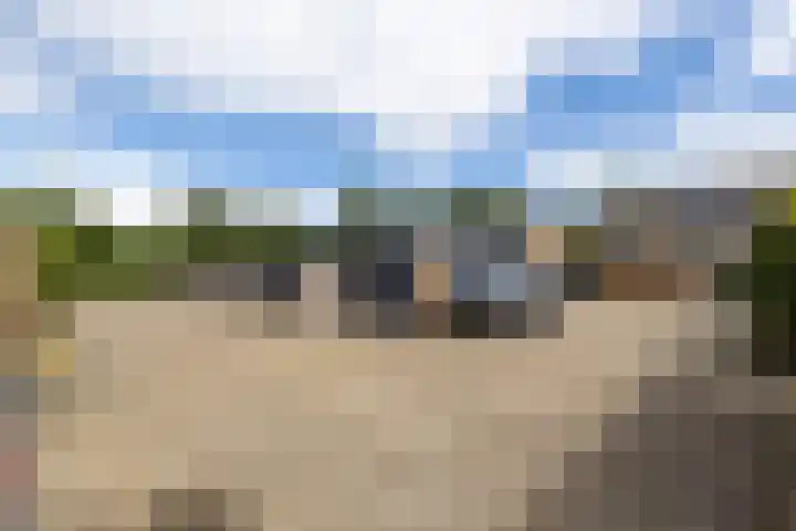 Korianderhof 211 Wierden thumbnail 26