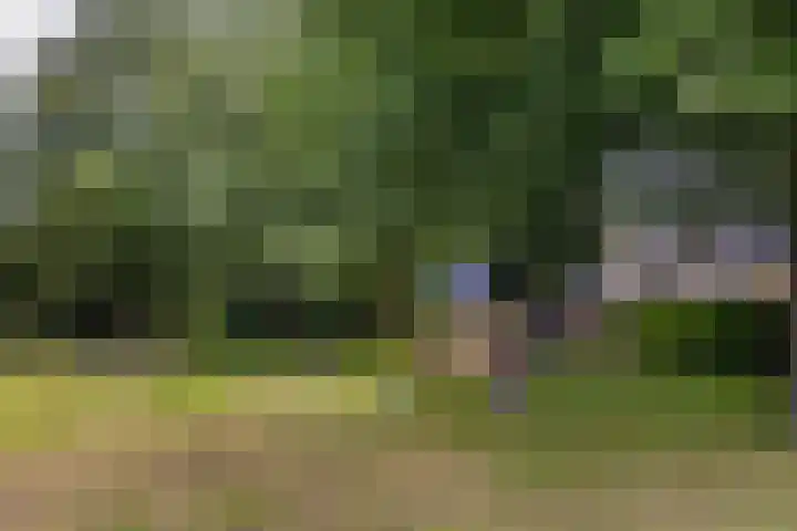 Korianderhof 211 Wierden thumbnail 27