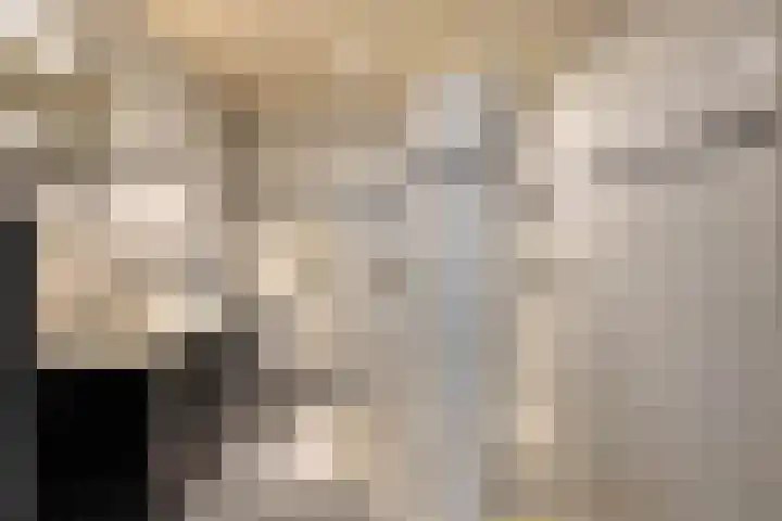 Korianderhof 211 Wierden thumbnail 4