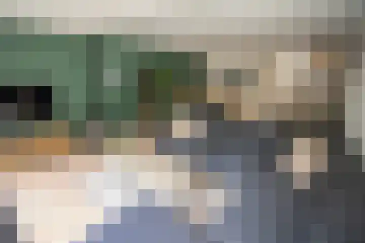 Korianderhof 283 Wierden thumbnail 17